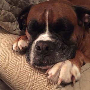 Meet your Posher, Danielle